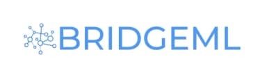 BridgeML logo